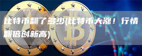 比特币翻了多少 - 比特币大涨！行情翻倍创新高